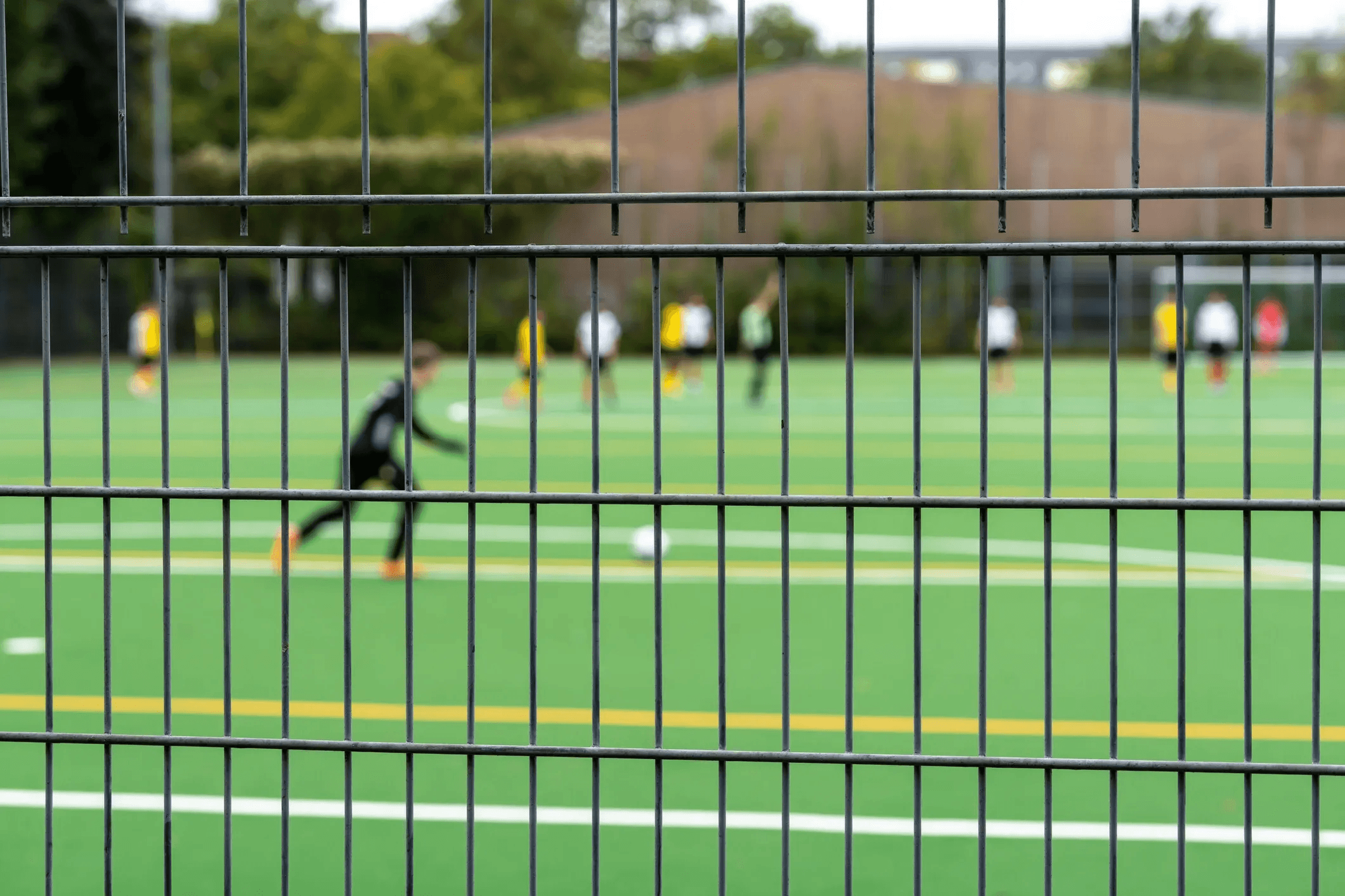 Schools and Sporting Venue Fencing