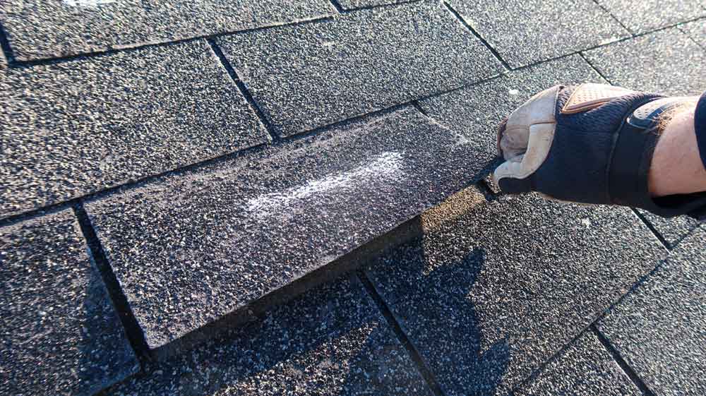 Roofer's hand lifting a loose asphalt shingle