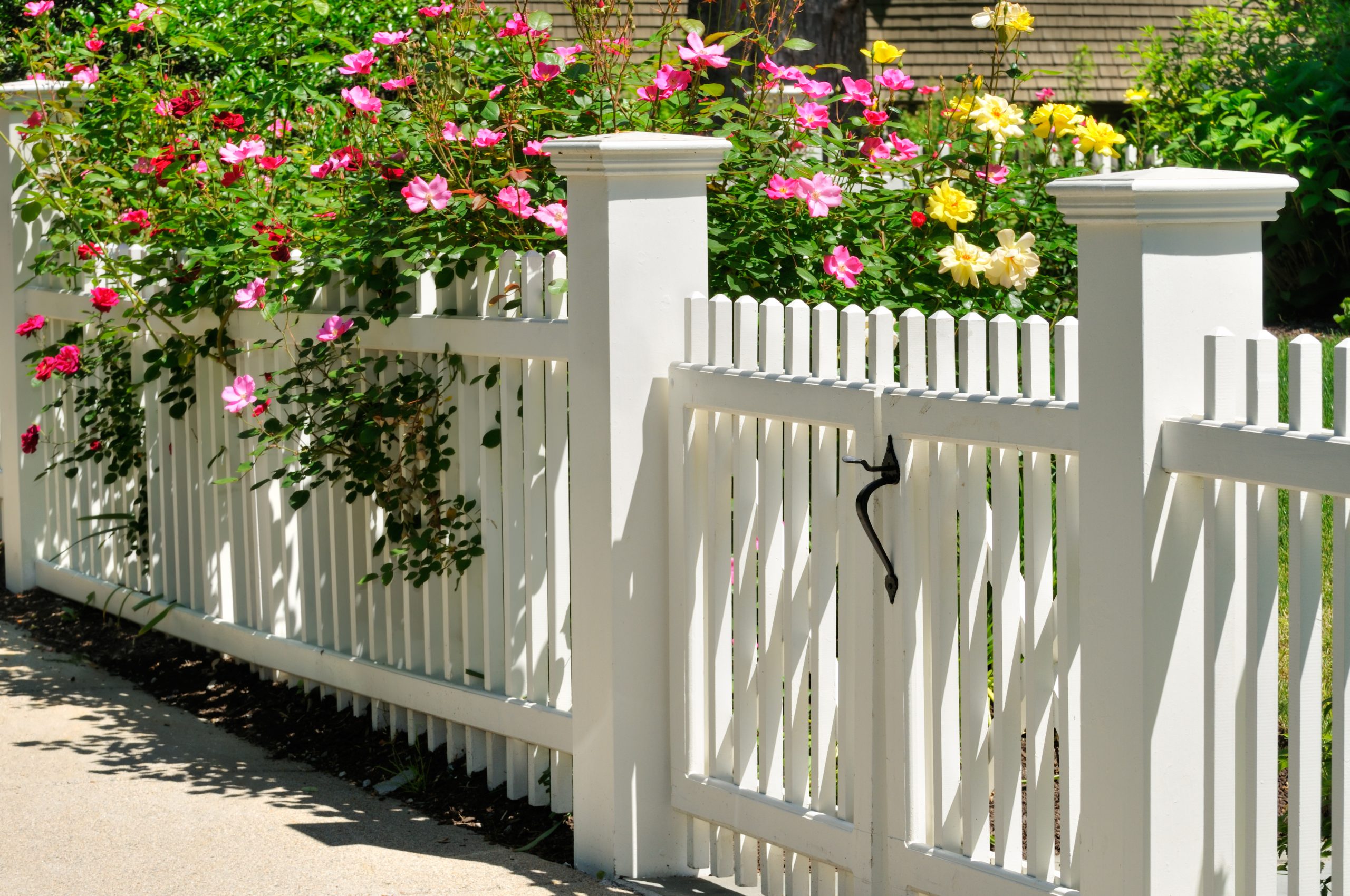 White Gate And Fence